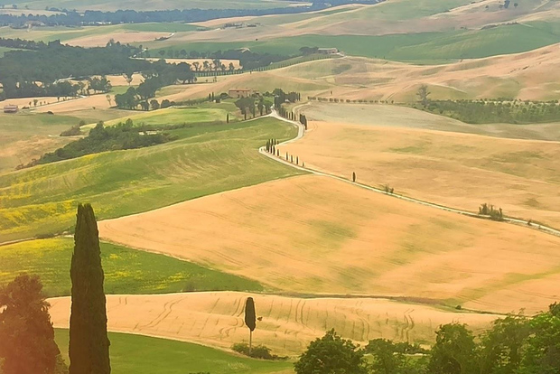 From Florence: Val d'Orcia Region Private Wine Tasting Tour