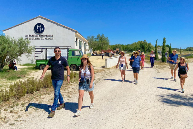Tour dei campi di lavanda e della distilleria tra Nîmes e Arles
