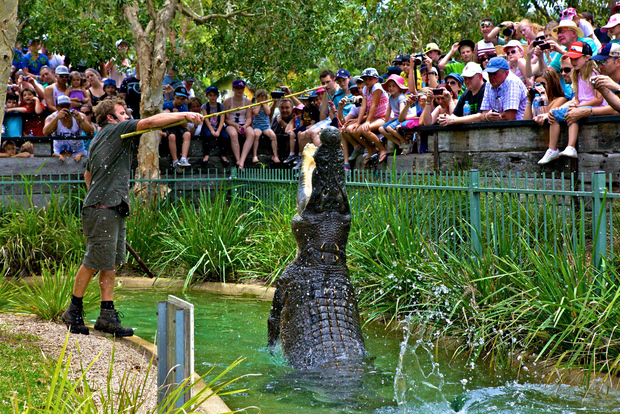 Somersby: Australian Reptile Park Day Pass - 9am to 5pm