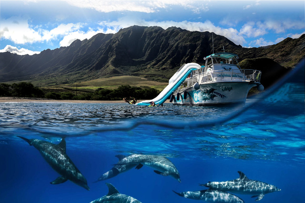 Oahu (Oahu) Delfinskådning och sköldpaddssnorkling med vattenrutschkana