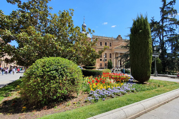 Salamanca: Tour privato a piedi della storia della letteratura