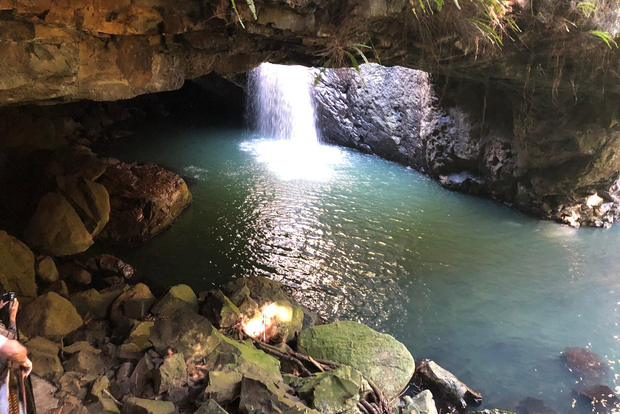 Brisbane: Springbrook e Mt Tamborine Glow Worm e Skywalk