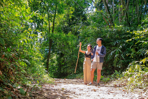 Khao Lak: Gita notturna al lago Cheow Lan con assistenza agli elefanti