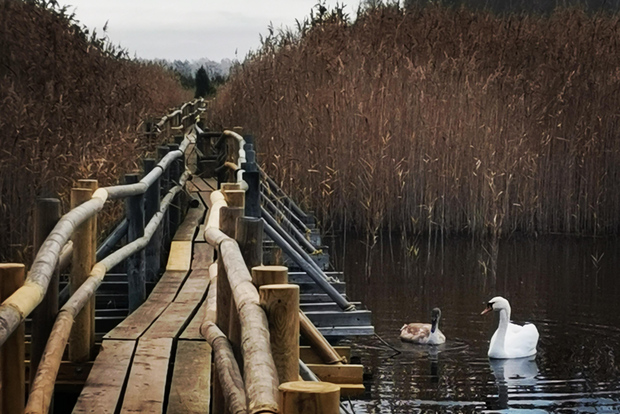 Utomhusrundtur i Kemeri nationalpark