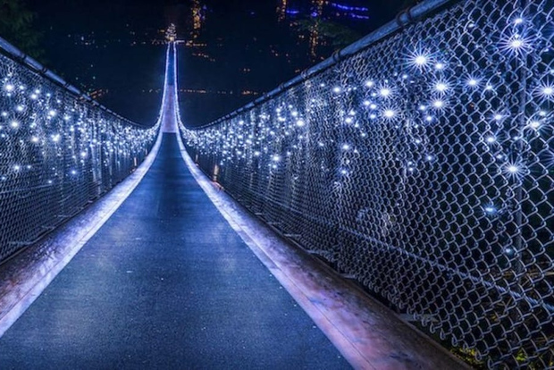 Ванкувер: Достопримечательности от Twilight Экскурсия с гидом и ужином