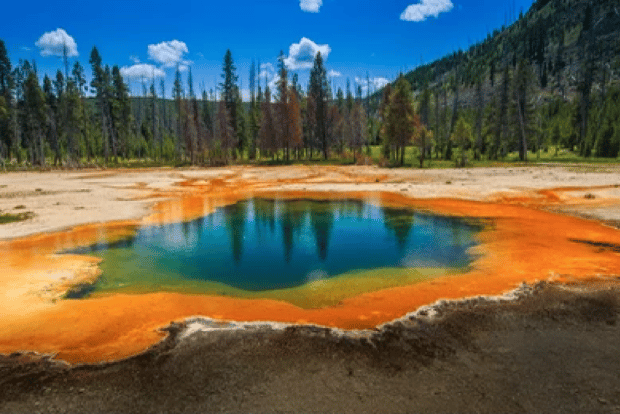 Yellowstone e Grand Tetons: avventura di 4 giorni/3 notti nella natura selvaggia