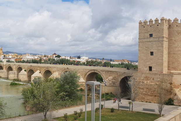 From Málaga: Cordoba and Lucena Day Trip