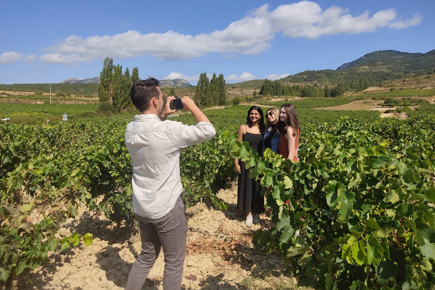 De Pamplona ou Logroño: viagem de um dia às vinícolas de Rioja com degustação