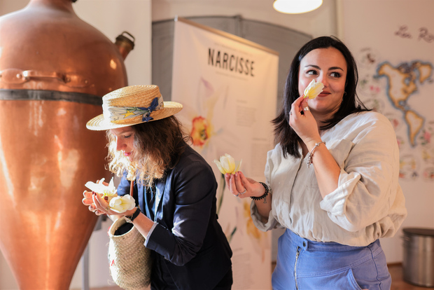 Da Nizza: Visita pomeridiana di Grasse e Saint-Paul-de-Vence