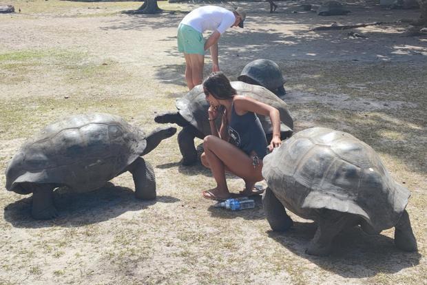 Tour guidato di Curieuse, St Pierre, BBQ e 2 soste per snorkeling