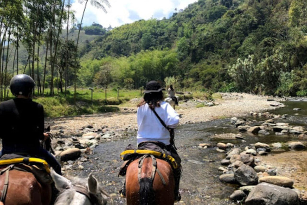 Valle del Cocora: Salento e tour privato a cavallo