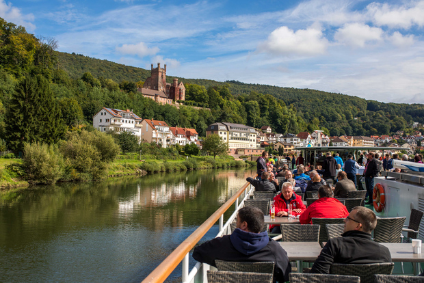 Heidelberg: Riverboat Tour to Neckarsteinach and Audio Guide