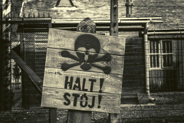 Da Lodz: Tour per piccoli gruppi di Auschwitz-Birkenau con pranzo