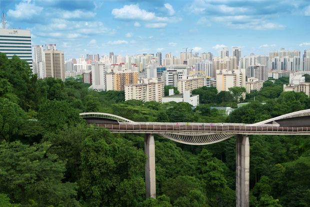 Singapore: Faber Peak Guided Walking Tour with Breakfast