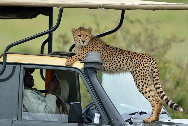 From Nairobi: 5-Day National Parks Safari with Camping