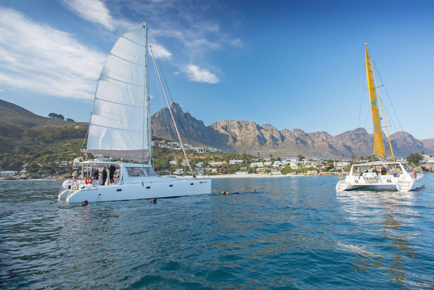 Cape Town: V&A Waterfront Gin Voyage Cruise