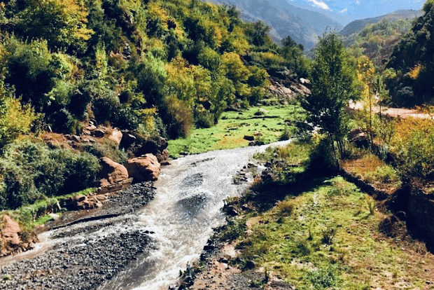 Von Marrakech aus: Atlasgebirge & Toubkal Museum Tagestour