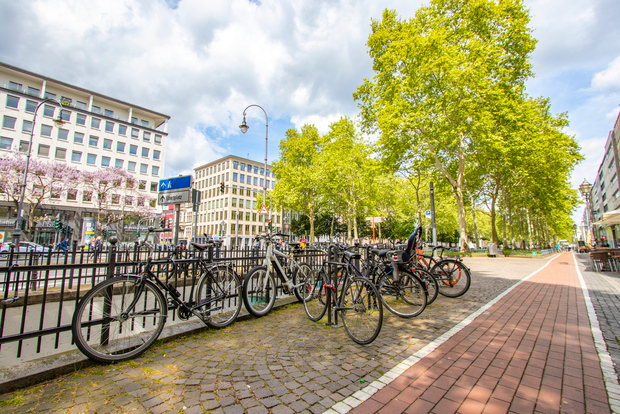Colonia: cattura i luoghi più fotogenici con un abitante del posto