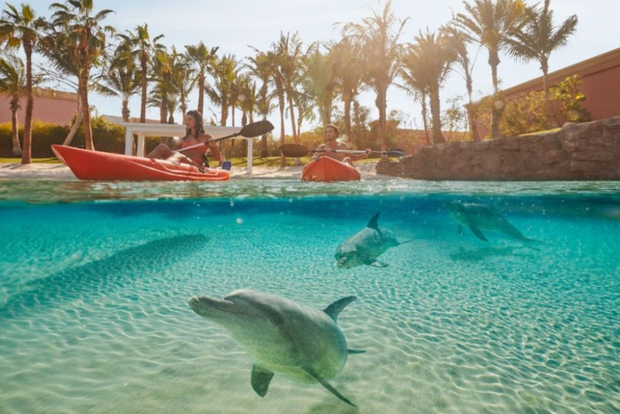 Dubai: pass giornaliero per Aquaventure World Waterpark e kayak con i delfini