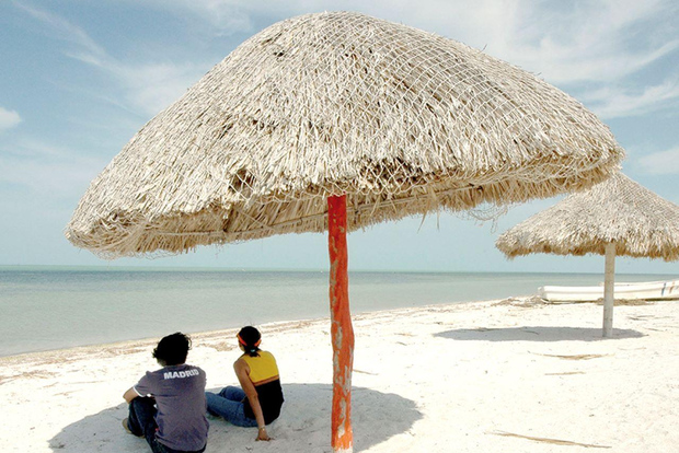 Desde Campeche: Tour Privado Flamingo