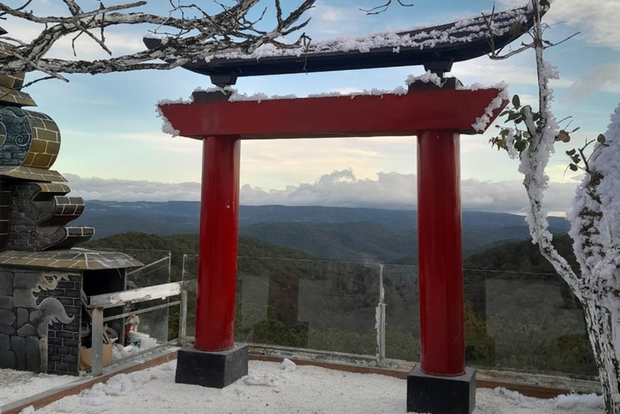 Desde Nha Trang Excursión de un día a DaLat con almuerzo