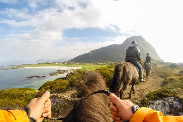 Lofoten: tour guidato a cavallo attraverso Hov e Hovsund