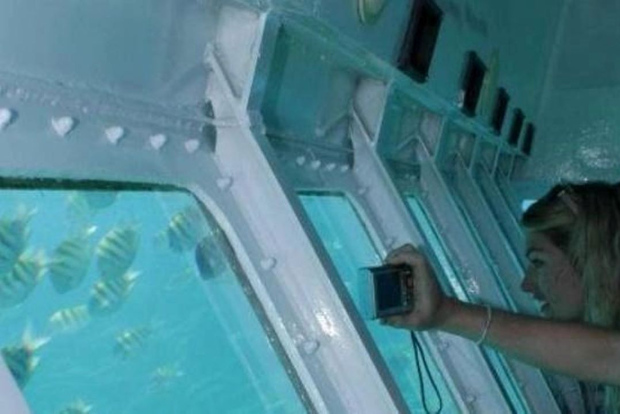 Roatán: Experiencia semi submarina en barco con fondo de cristal