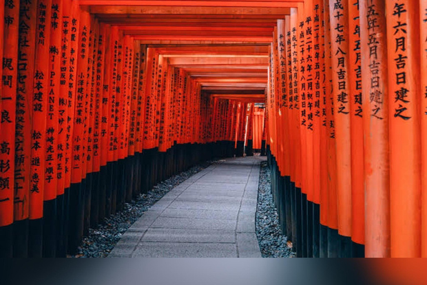 Da Osaka/Kyoto: Escursione privata di Kyoto e Nara con pick-up