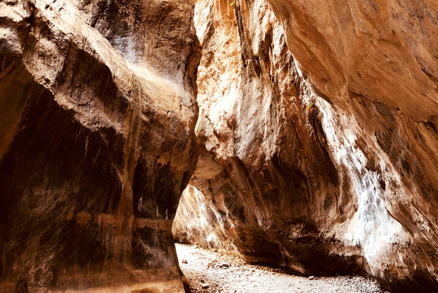 Kreta: Sarakina Gorge, skogar och safari på sydkusten