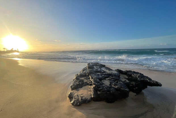 Enjoy Private Professional Photo Tour in Honolulu Island