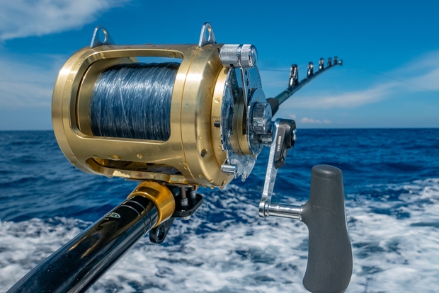 Estepona: Fisketur StartFisher 1060