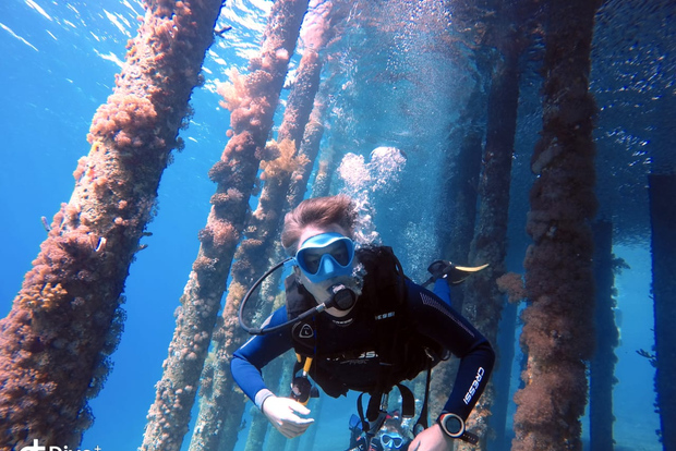 Immersioni subacquee nel Mar Rosso di Aqaba