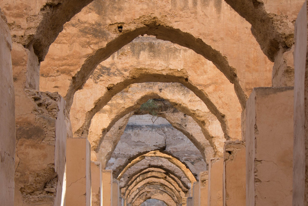 Da Fes: gita di un giorno a Volubilis, Moulay Idriss e Meknes