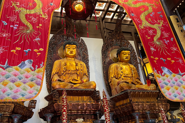 Shanghai: 8-Hour Guided Tour of Old and New City Highlights