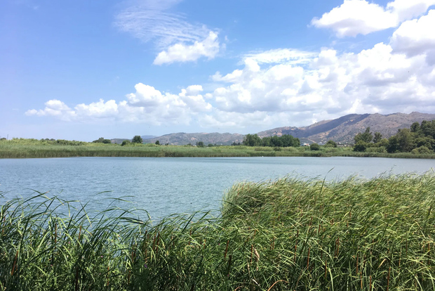 Da Chania ai laghi di Creta: Tour privato al Paradiso acquatico