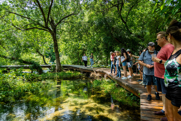 Da Spalato: Crociera alle cascate di Krka e tour a piedi di Trogir