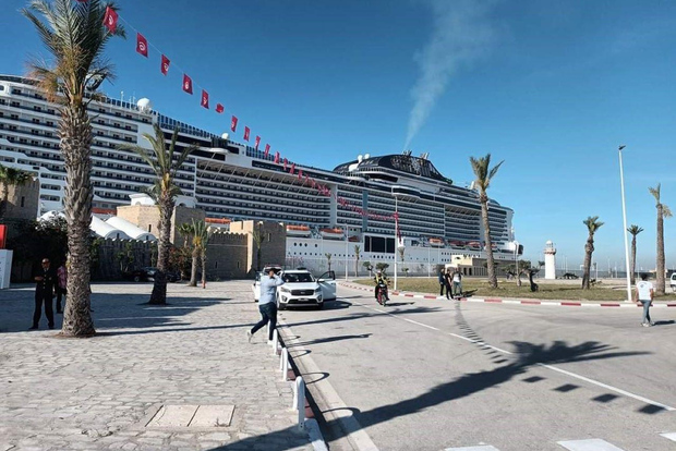 Tour per crocieristi a Tunisi: Medina, Cartagine, Sidi Bou Said