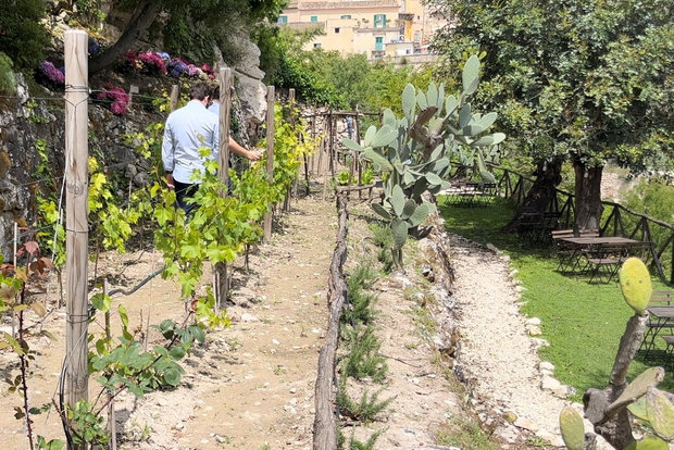 Радичи: Я окунусь в пьянящие ароматы нашего сада.