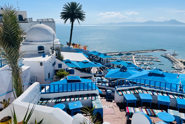 Sousse: Sidi Bousaid, Cartagine, Medina di Tunisi Daytrip