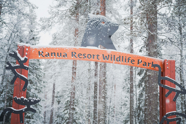 Giornata al Ranua Wildlife Park: Visita gli animali artici