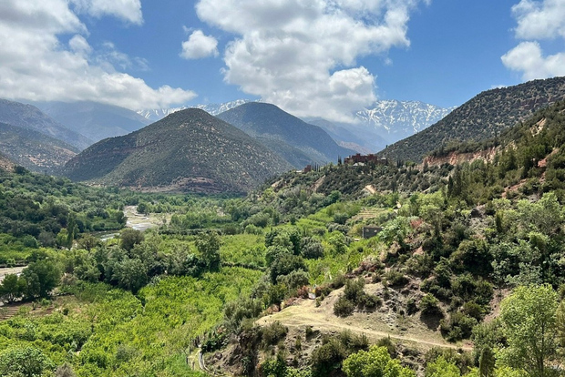 Marrakech: Atlasgebirge, Agafay-Wüste, Wasserfall & Mittagessen