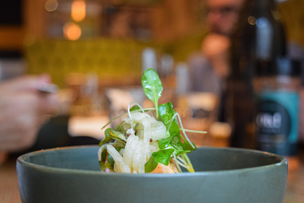 Квебек: историческая прогулка и дегустация