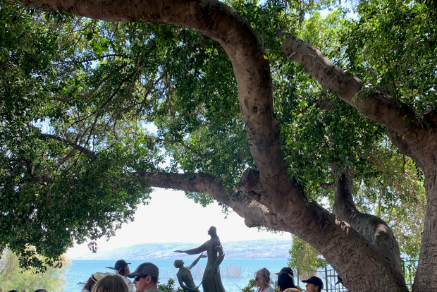 Haifa Port: Full-Day Christianity Tour to Galilee