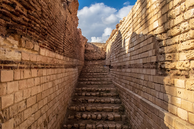 From Alexandria: Highlights of Alexandria Full City Tour