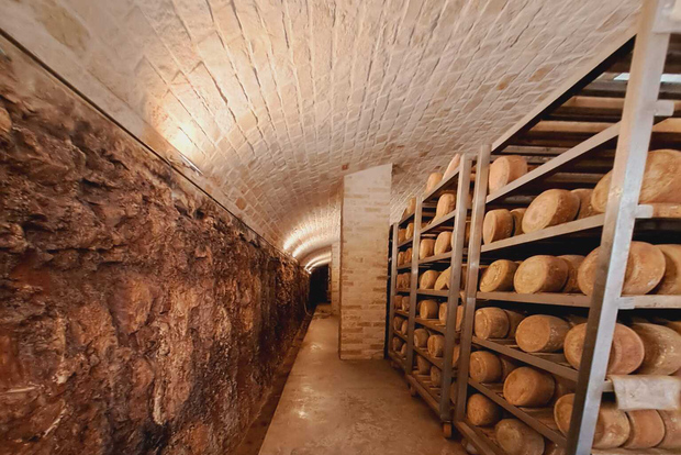 Desde Bari: experiencia de queso burrata y confeti