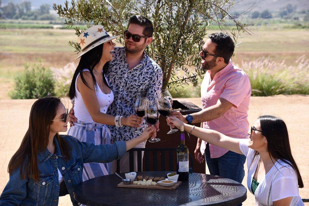 Degustación de 5 vinos con visita guiada en la Bodega Valle de Guadalupe
