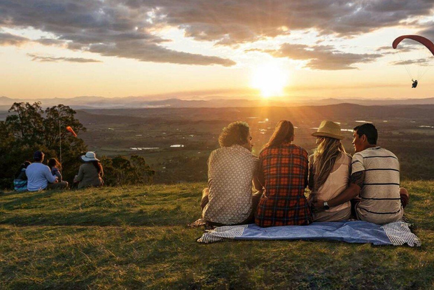 Brisbane: tour di lusso delle cantine vinicole con pranzo gourmet e distilleria
