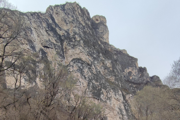 Pesca nelle Dolomiti: prenota la tua escursione selvaggia!