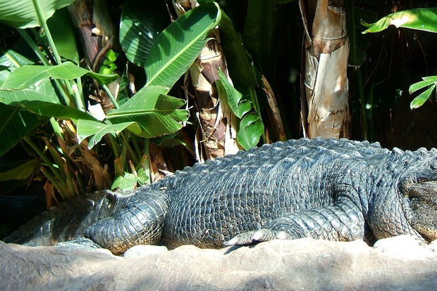 Animal & Nature Parks, Private Tour with Lunch & All Tickets