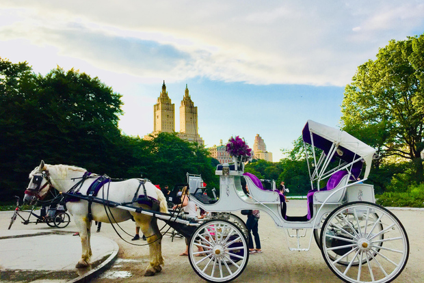 Manhattan: VIP Private Horse Carriage Ride in Central Park